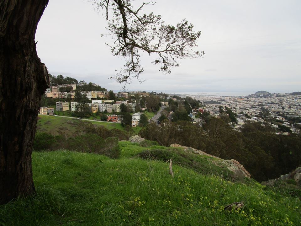 53271386_10218368108340367_26478494854676480_n