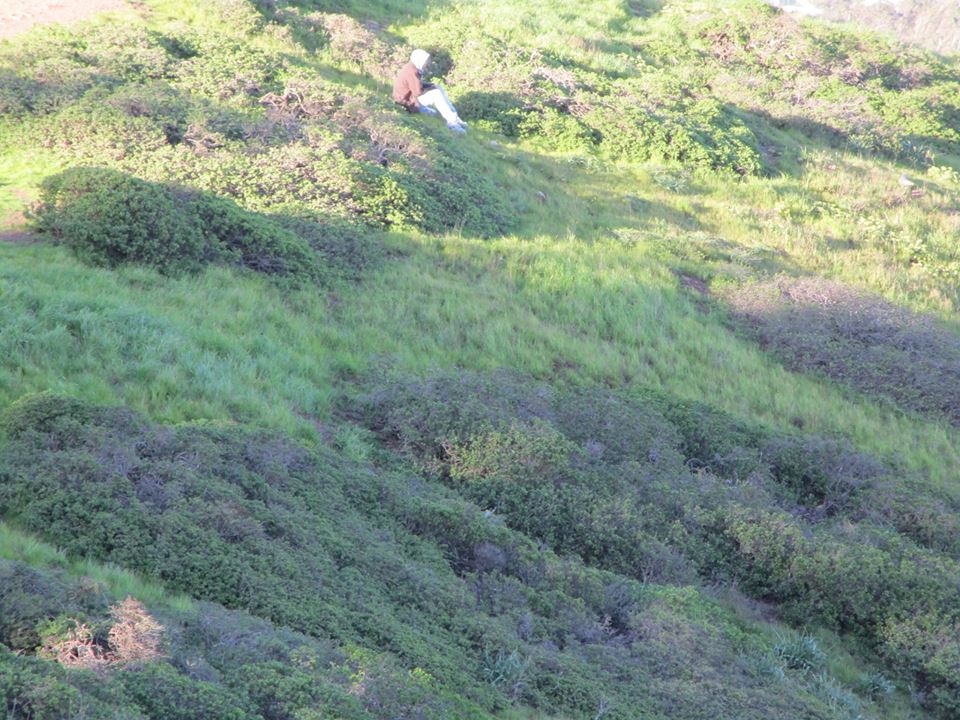 53385639_10218414722905702_1980062558626775040_n