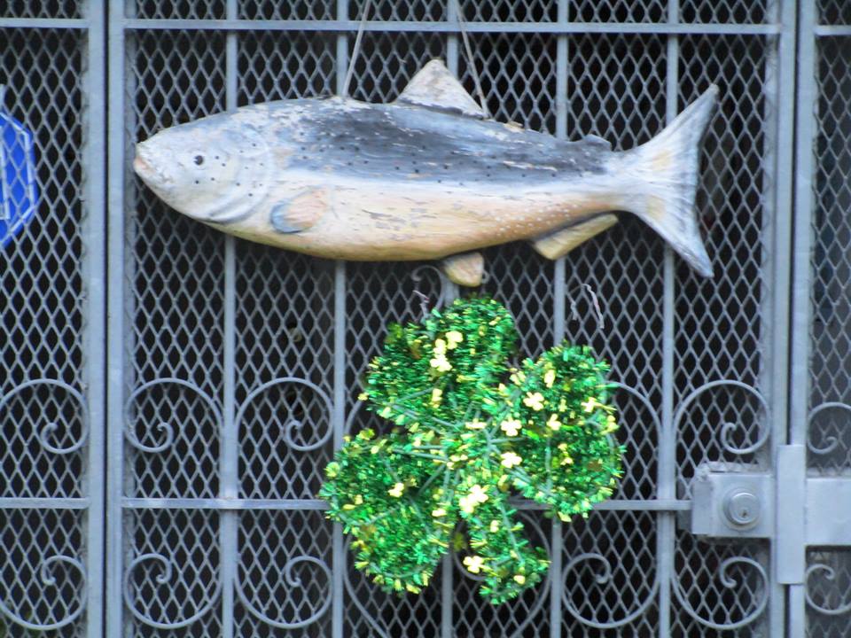 53519680_10218368107100336_5155490996212989952_n