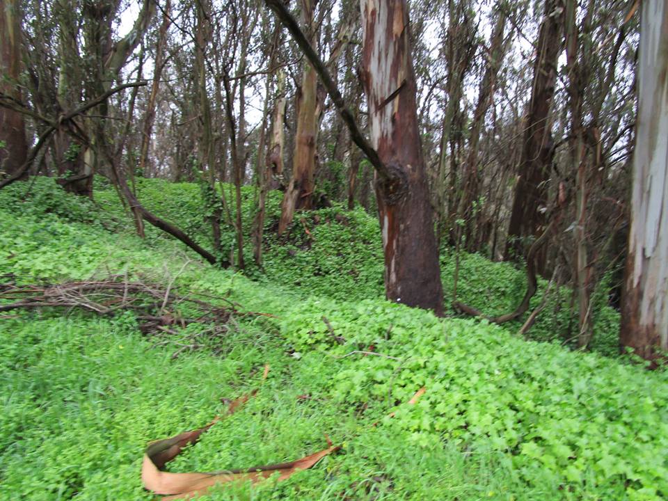 53580534_10218368117940607_6250749236271382528_n