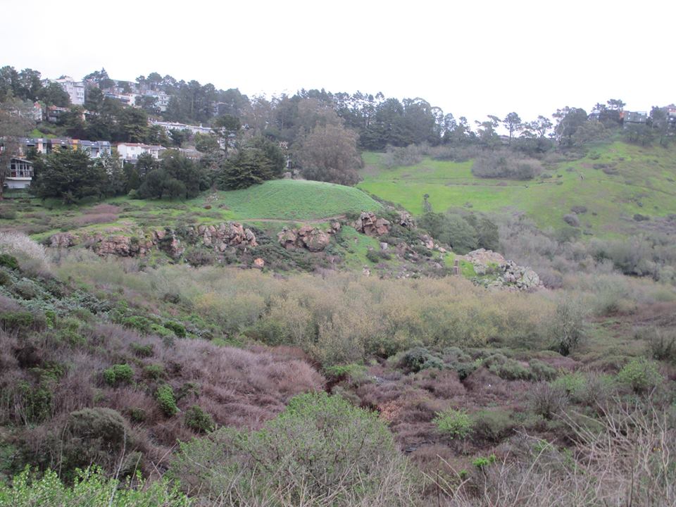 53642164_10218368114620524_8961338912509263872_n