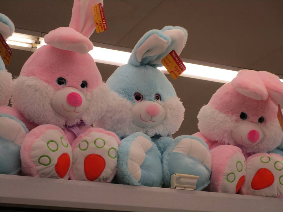 53716789_10218368080299666_8409896696892358656_n