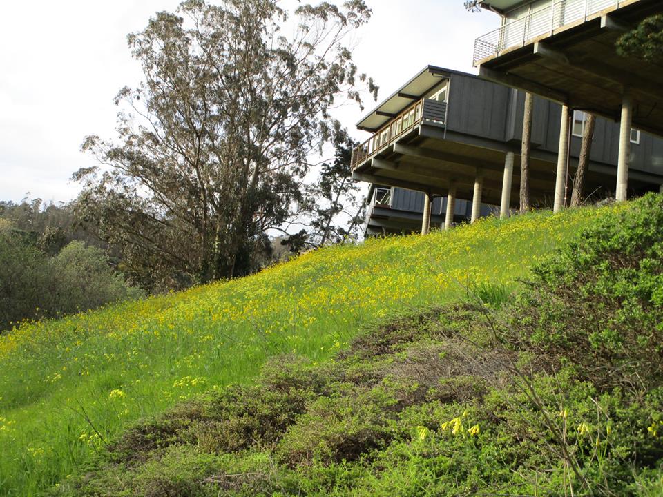 53738112_10218368084659775_4232554652320661504_n