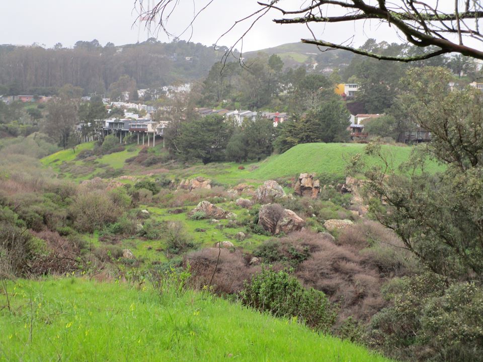 53850214_10218368117500596_8442020050084298752_n