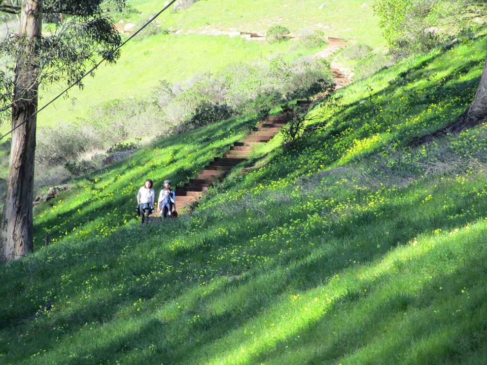 53932257_10218414717585569_2227253439933448192_n