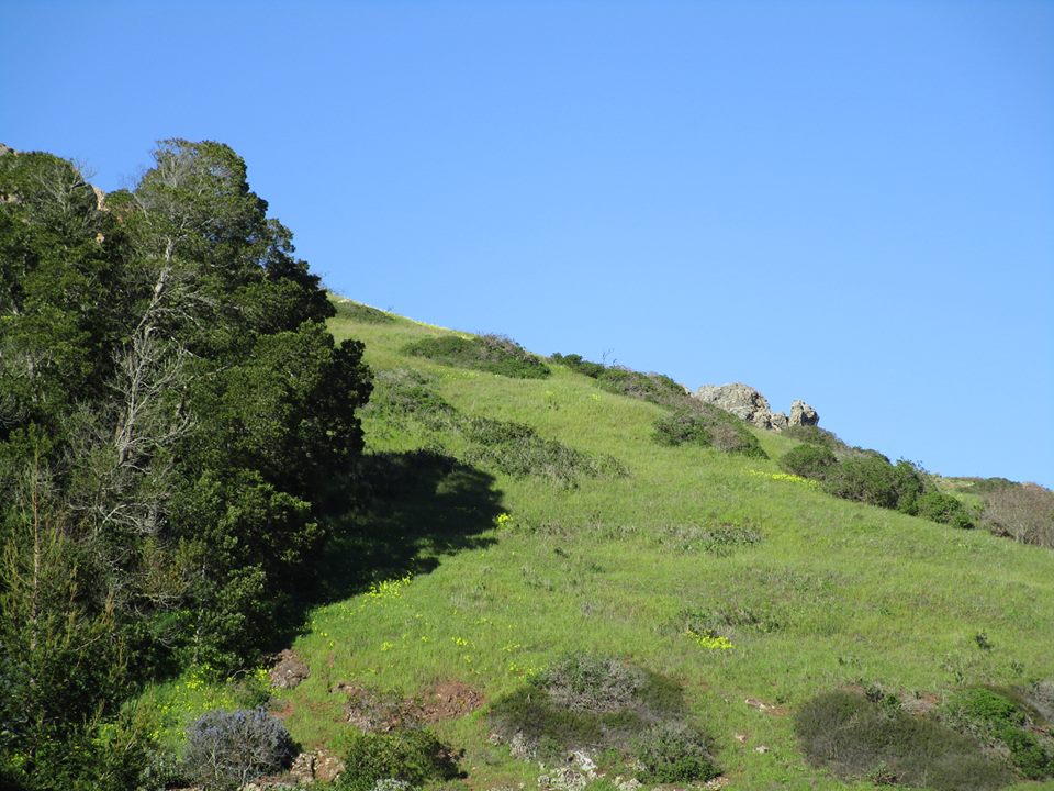 53970431_10218414730425890_7972501891802202112_n