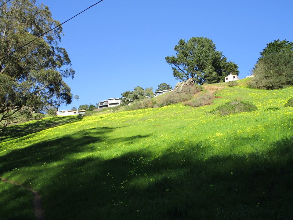 54230835_10218414717825575_5262261400700452864_n