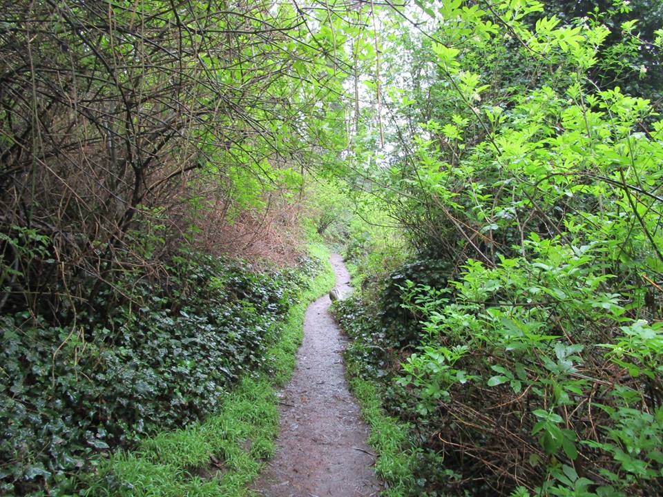 54433248_10218457044323711_5983302065131094016_n