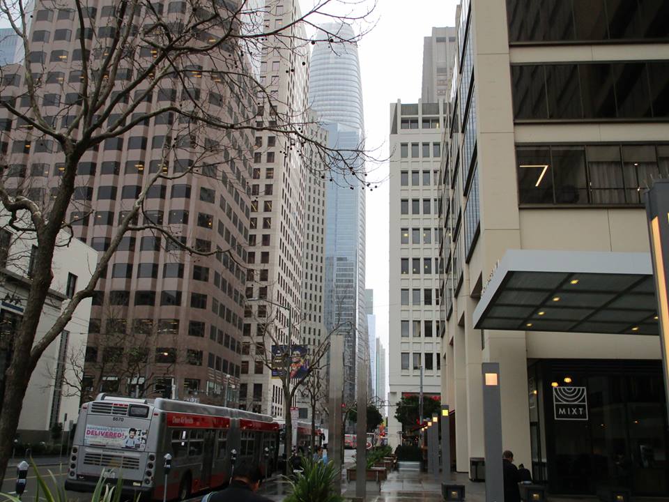 54433423_10218368118300616_3944227154073485312_n