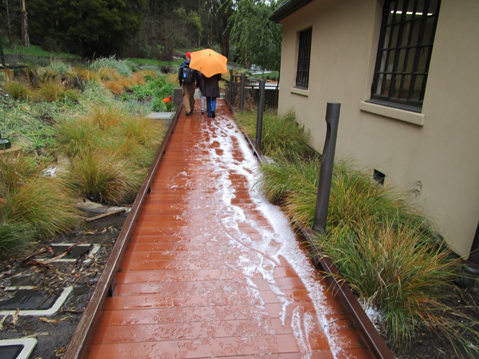 54436893_10218414733945978_2136404294528663552_n