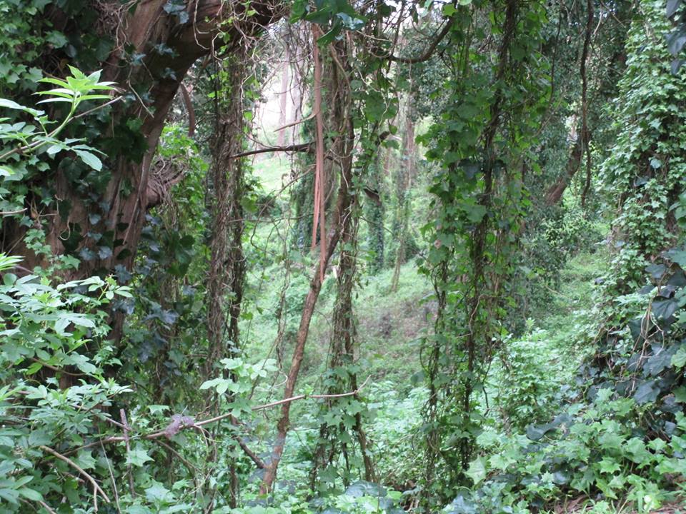 54517005_10218457053803948_3374336709595496448_n