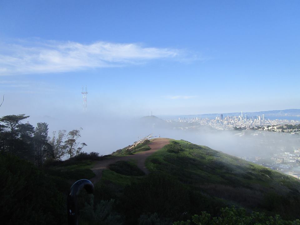 54519985_10218457067204283_1118638603203772416_n