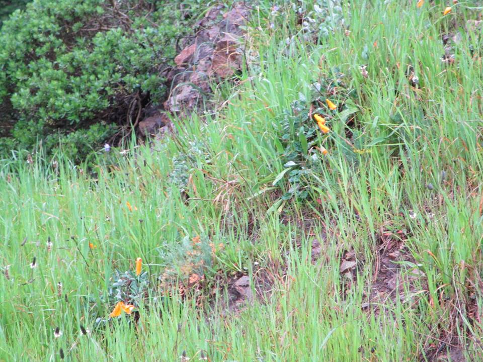 54523927_10218457042483665_570870006259122176_n