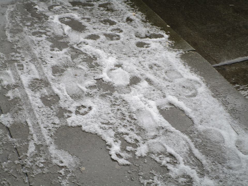 54730738_10218414736786049_4194218401301790720_n