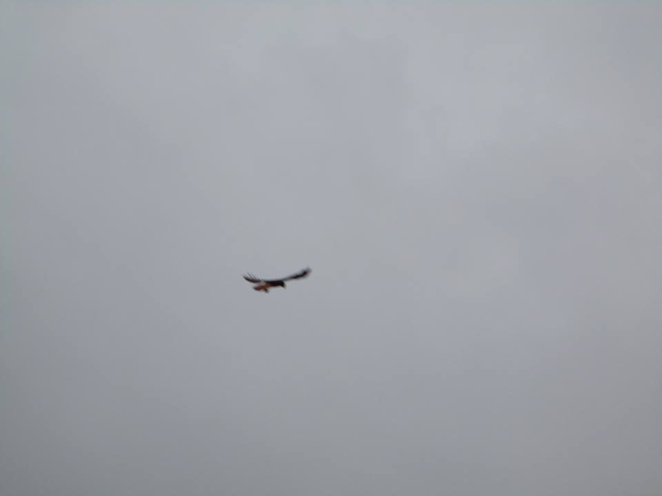 55514093_10218457042163657_4421193696179912704_n