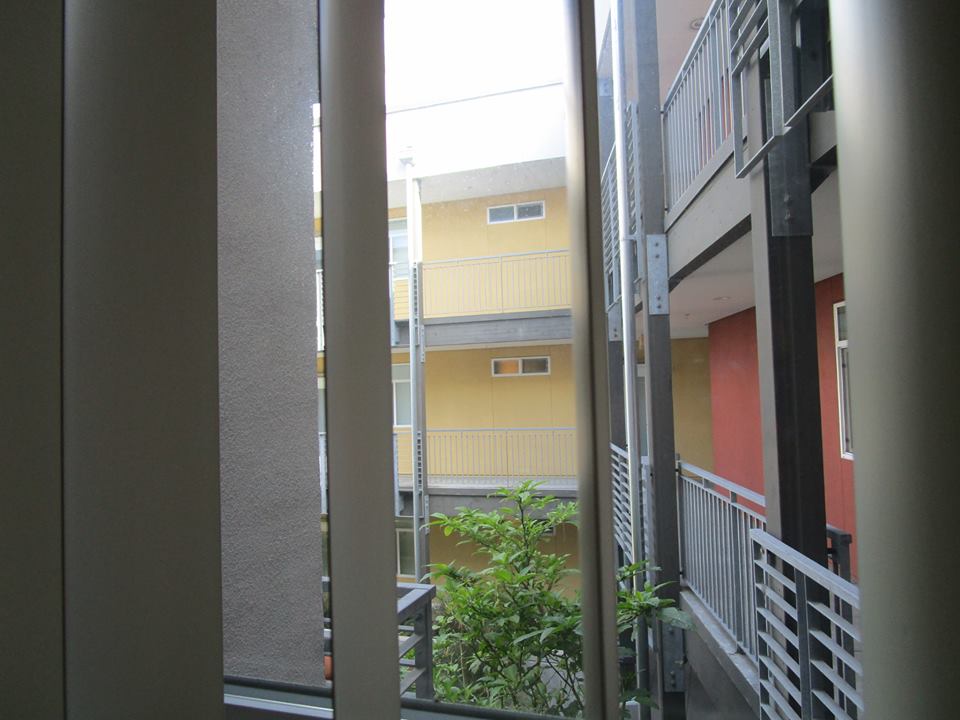 55524768_10218495612247885_8434652269911212032_n