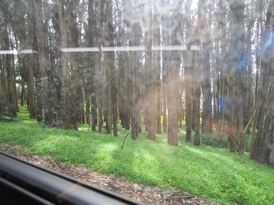 55576487_10218495616367988_8618722134287450112_n