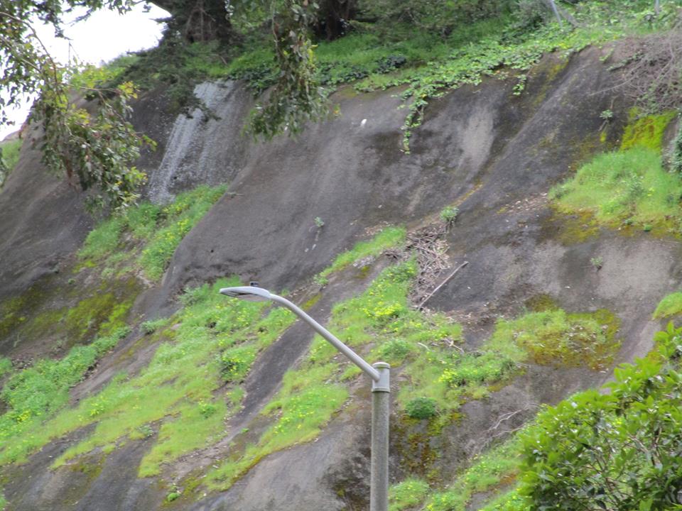 55609022_10218495609807824_9070256027550613504_n