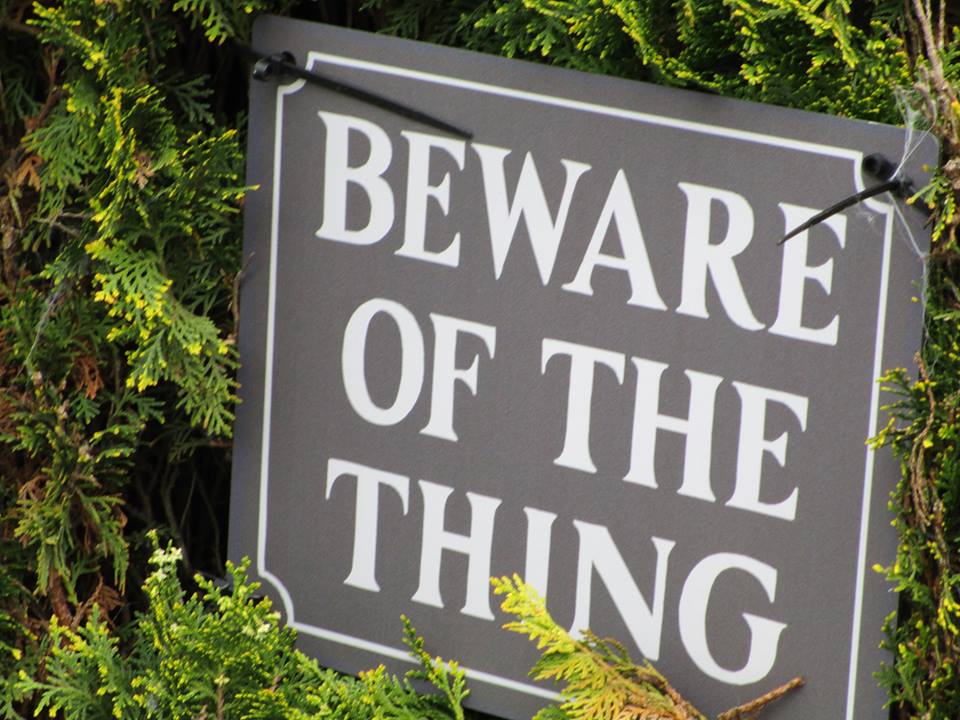 56237457_10218495610647845_3953486257455104000_n