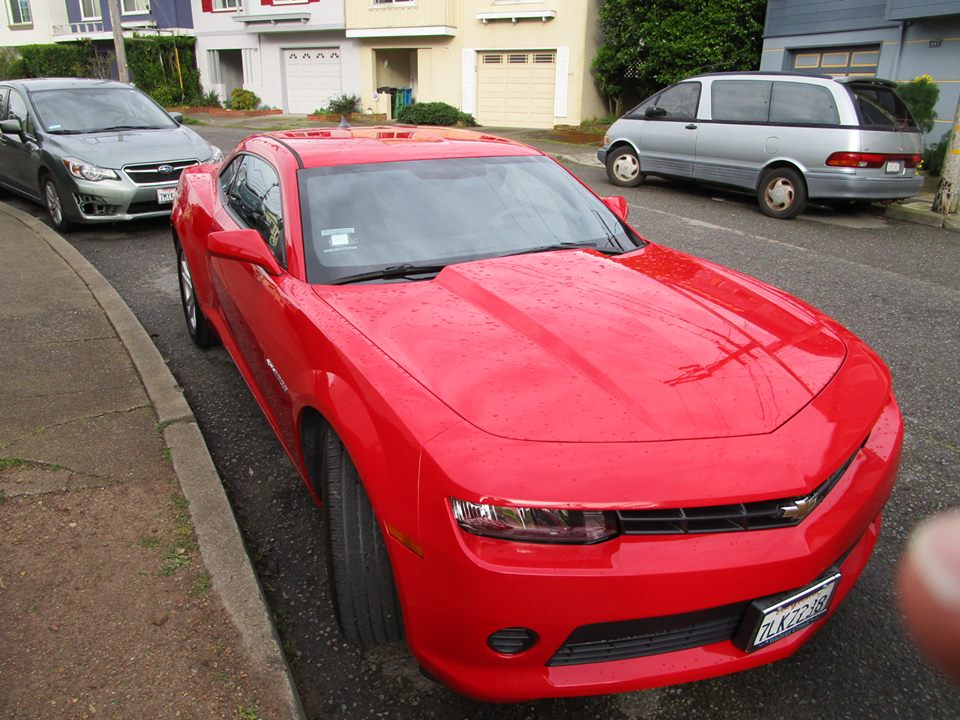 56431027_10218556536610956_3806320178015240192_n