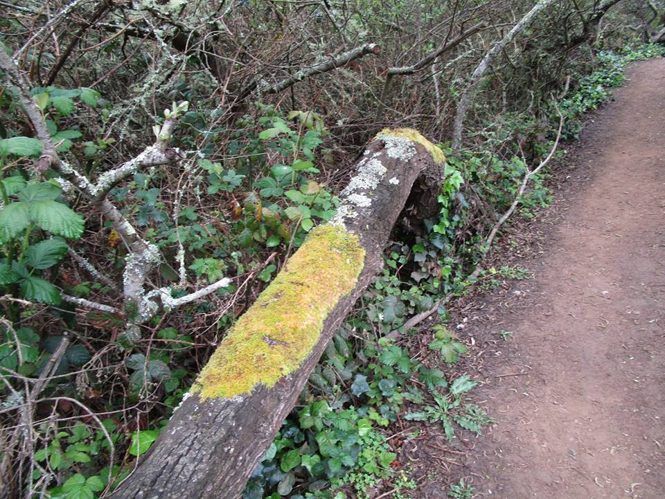 56523204_10218556537370975_4786088182003269632_n