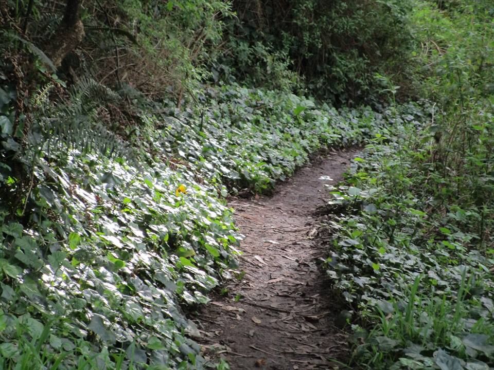 56599879_10218556542371100_4003602568679784448_n