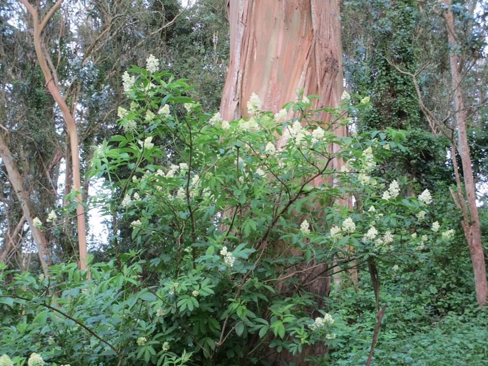 56757526_10218610574521870_4951372598161178624_n