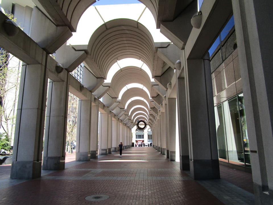 56800902_10218610562601572_3436429498470367232_n