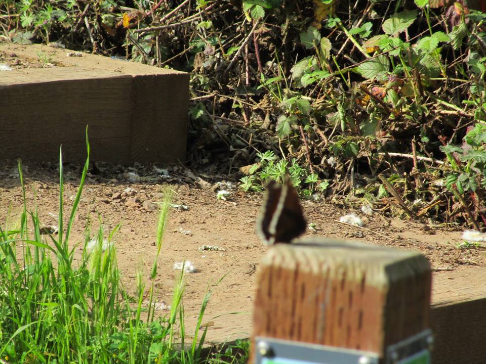 56842587_10218610575321890_38458876630138880_n