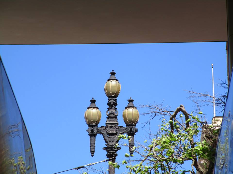 56847993_10218610563321590_2284474919850868736_n