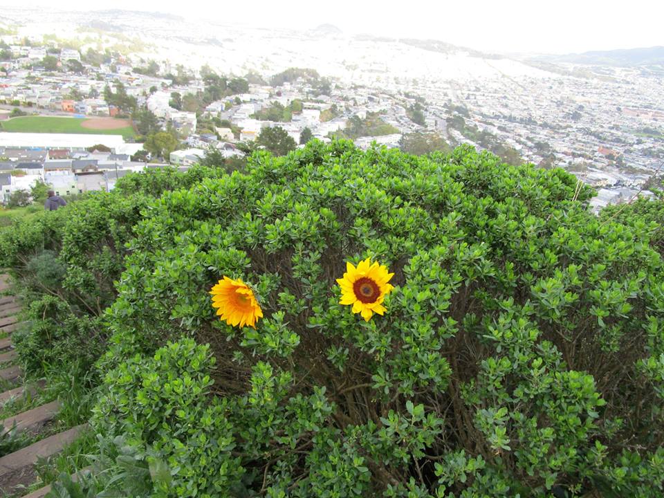 56902382_10218610580922030_6356454699322834944_n