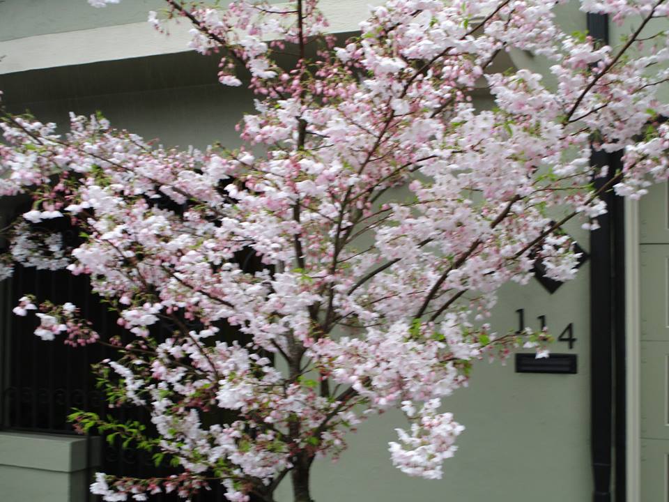 57205983_10218610564921630_3308239800019976192_n