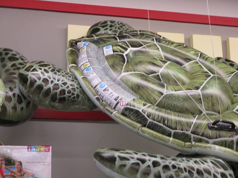 58382568_10218702900909972_7002186857429598208_n