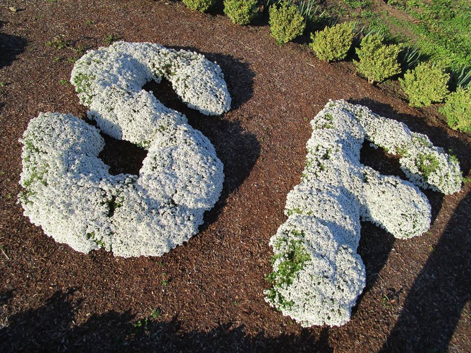 58460683_10218702903310032_4968815190494674944_n