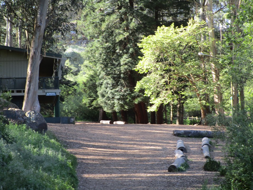 57416467_10218761486894585_2110976825415958528_n