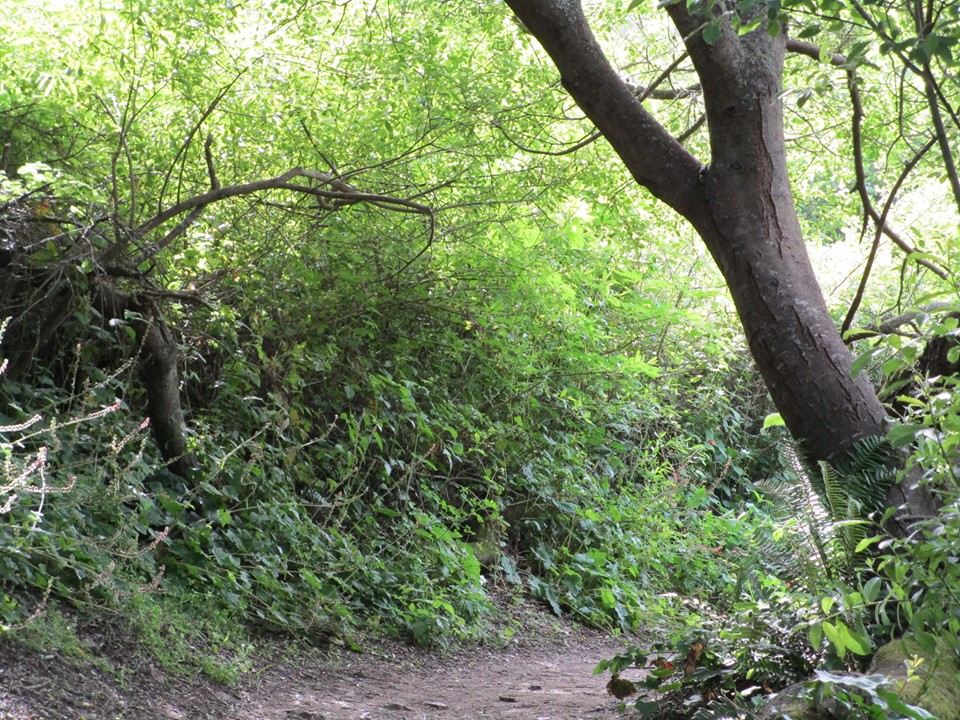 59345483_10218761492814733_8776347279431827456_n