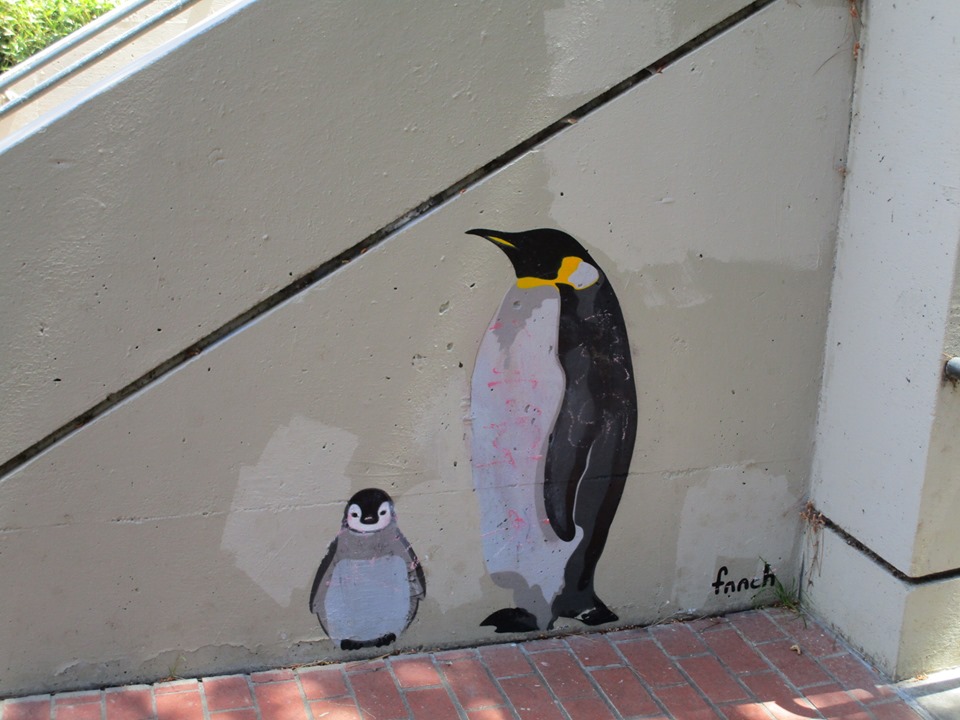 59777988_10218816954761247_2681078590874845184_n