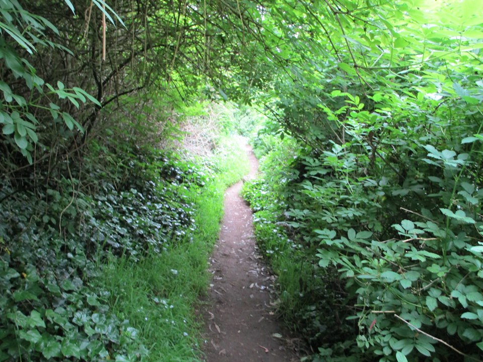 59818107_10218816931520666_4787520768344850432_n