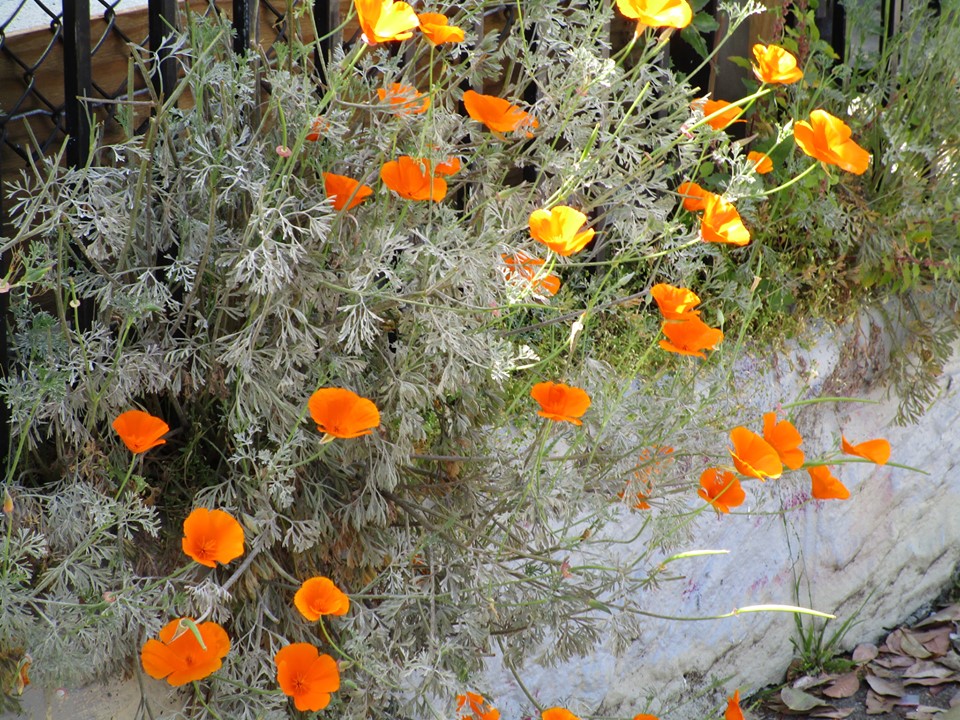 59885231_10218816947561067_1545022731349655552_n