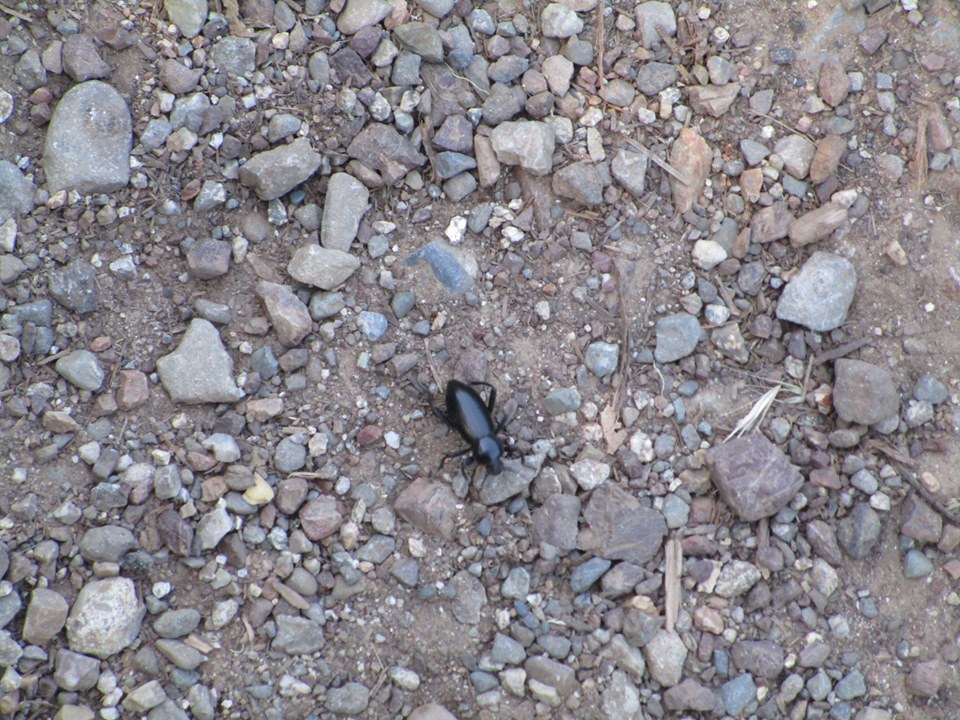 59998357_10218816953441214_3570209822705975296_n