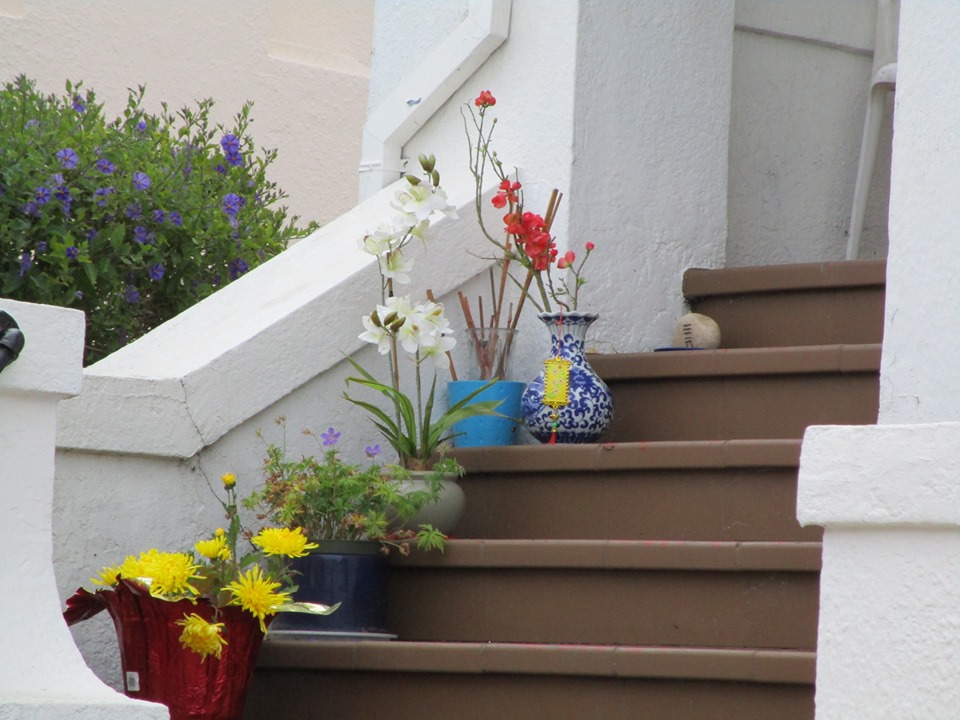 60002994_10218816942720946_3599709612305022976_n