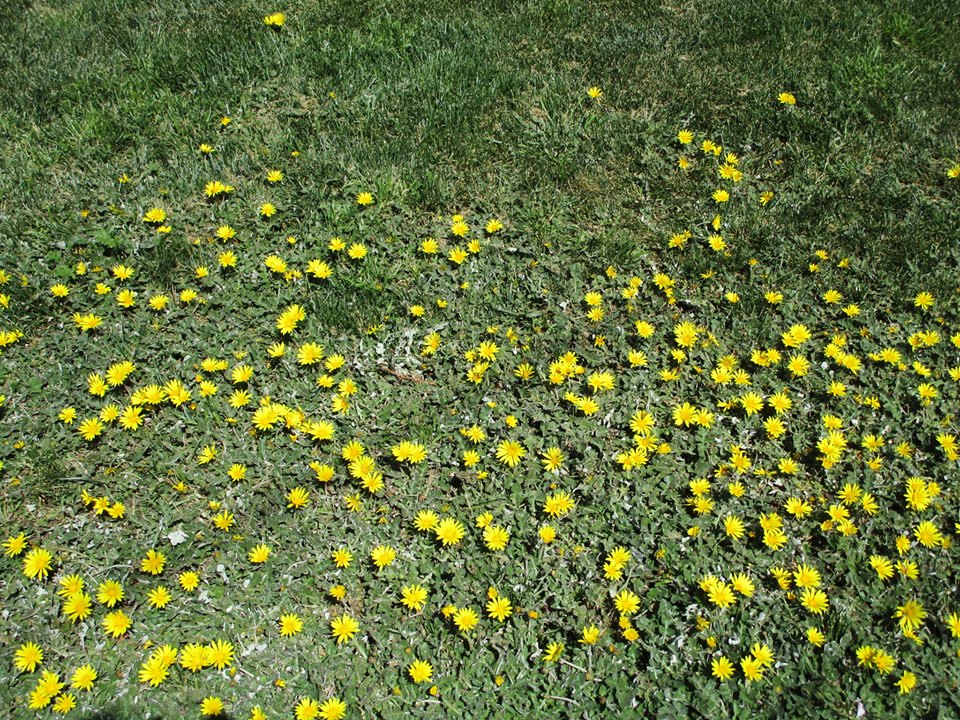 60237459_10218816956041279_511278735186460672_n