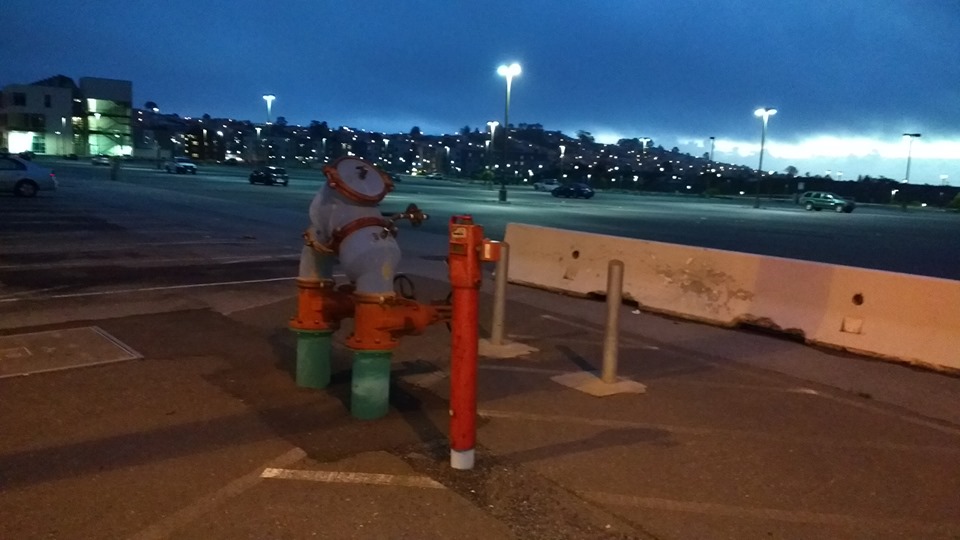 60258890_10218816930160632_884893559398858752_n