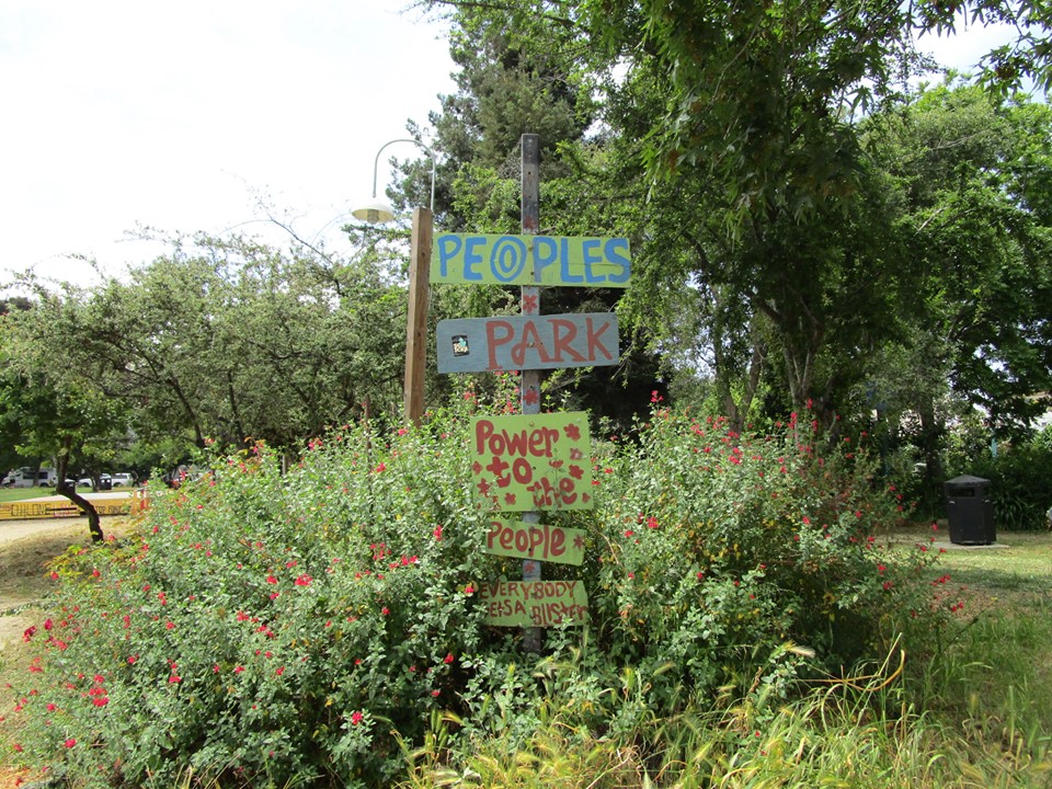 60285759_10218816941080905_2783752936591720448_n