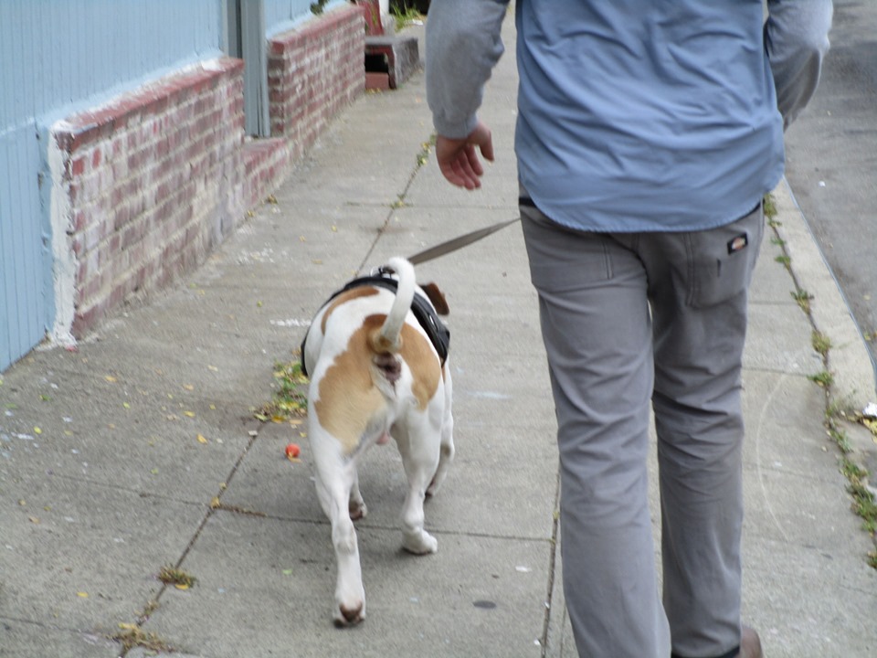 60348887_10218816932000678_3399835853122437120_n