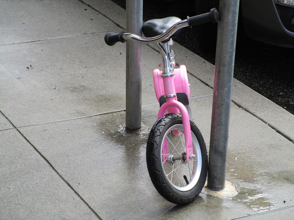 60424742_10218893733760674_7753832857516113920_n