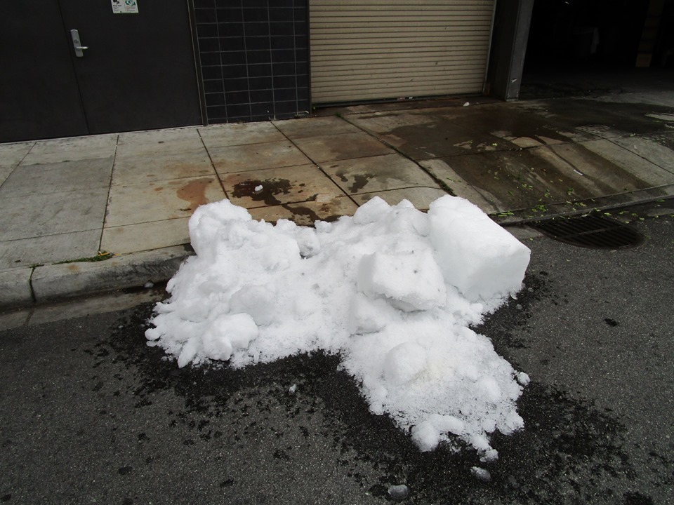 60473616_10218893737720773_4429222488999723008_n