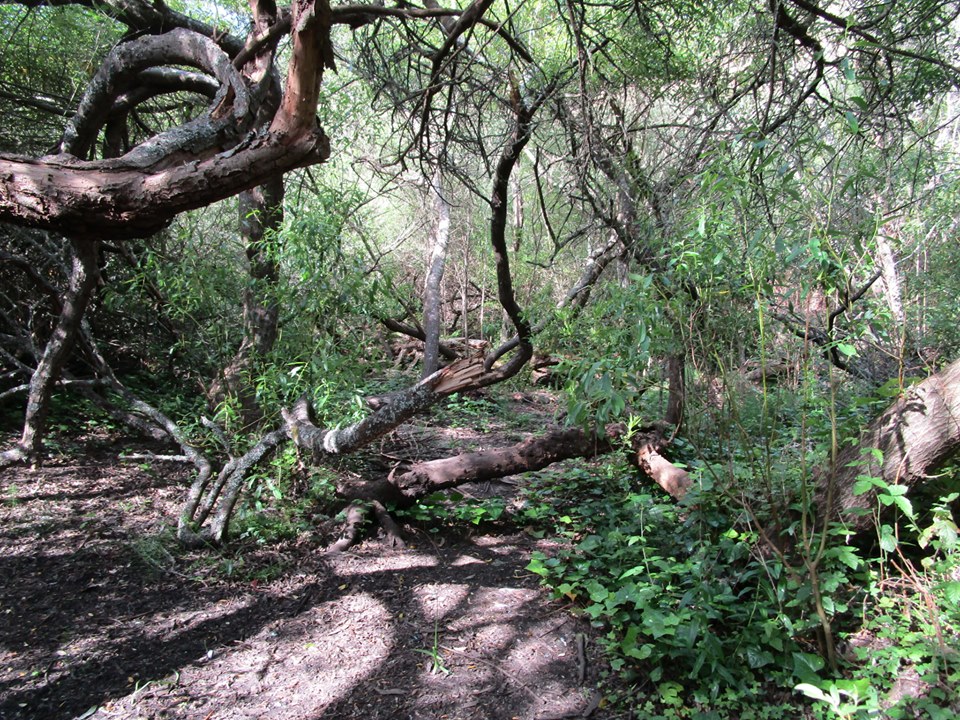 60675178_10218893748241036_1000600257525972992_n