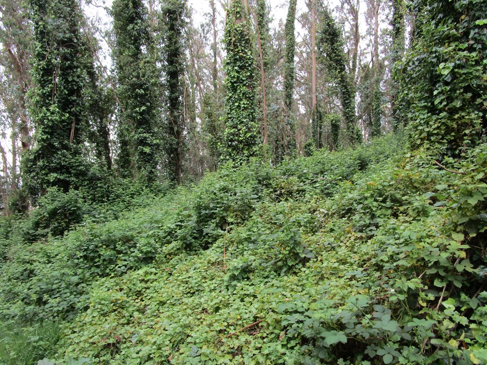 60969522_10218893744480942_6039384957808279552_n