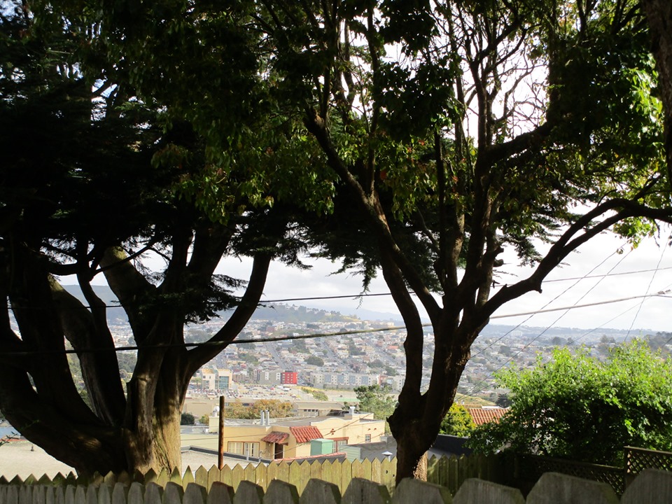 61215479_10218957737520728_6596721706801299456_n